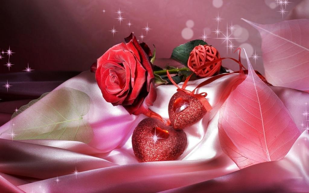 玫瑰和心中的情人节2月14日缎面