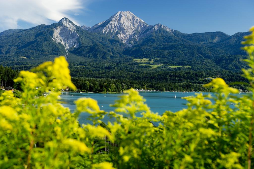 在山背景中的绿色在Faaker-See，奥地利的度假胜地