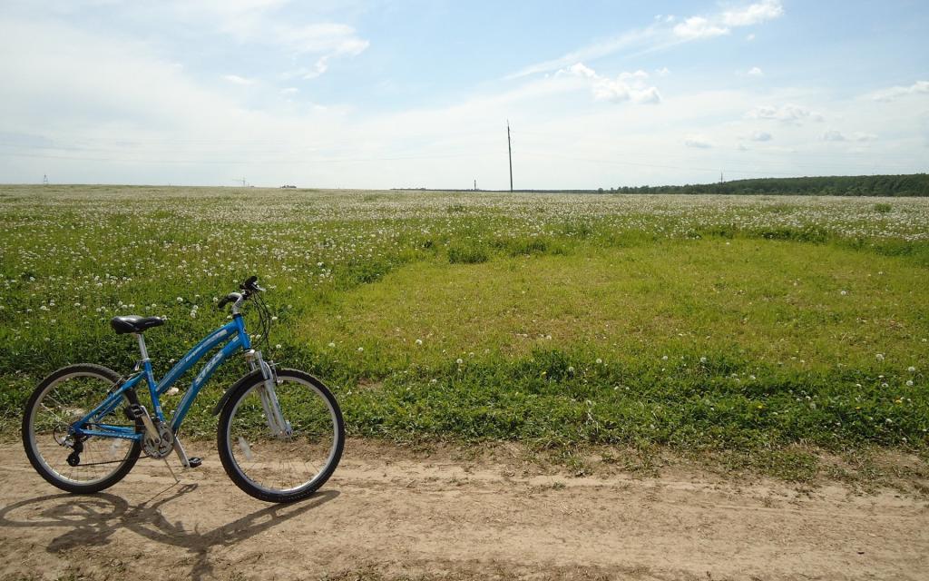 骑自行车在盛开的领域的边缘