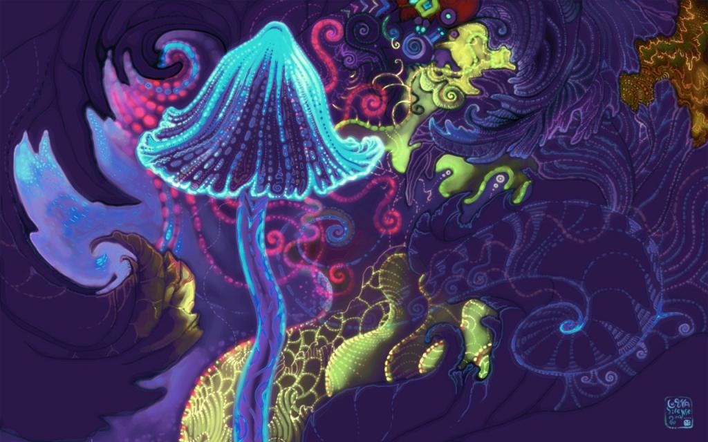 魔法蘑菇