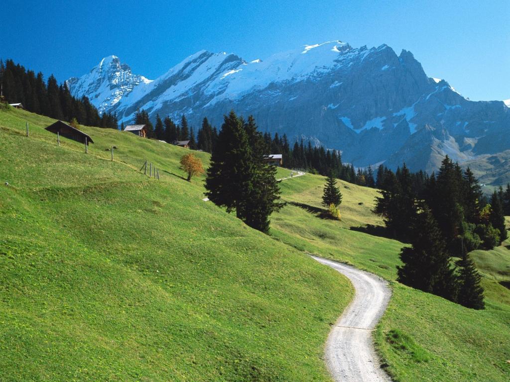 伯尔尼高原，瑞士