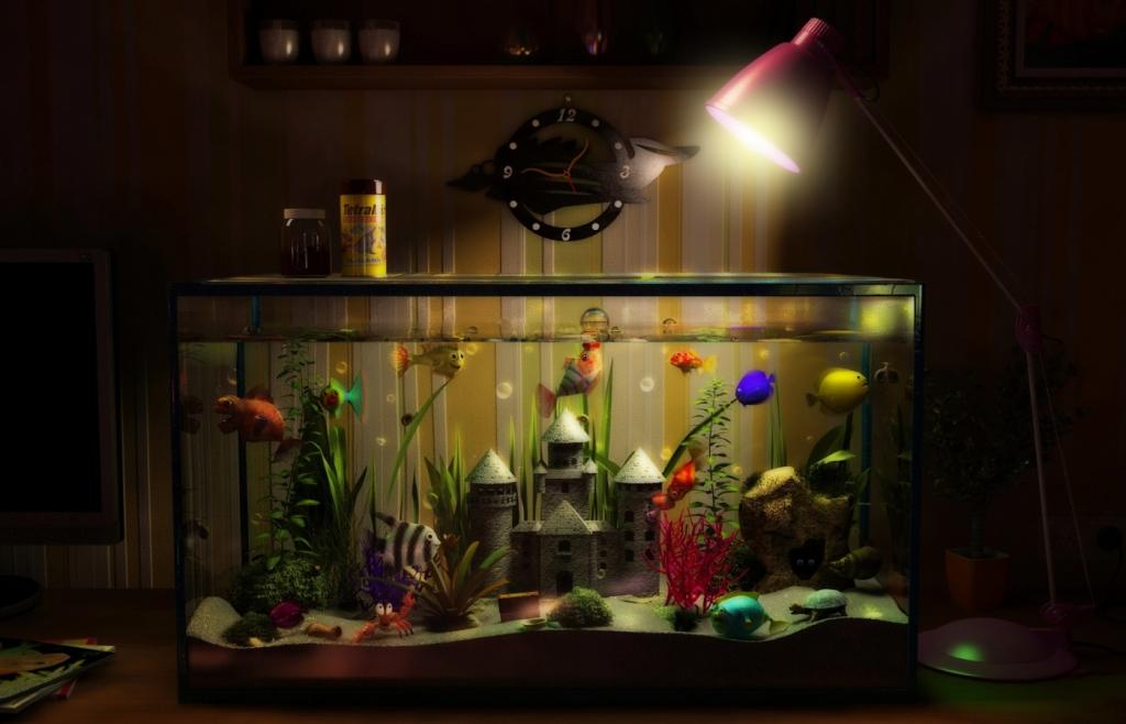 与鱼的3D水族馆