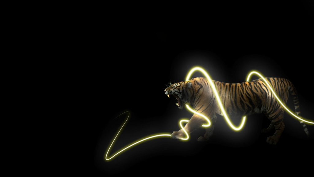 老虎在能源螺旋