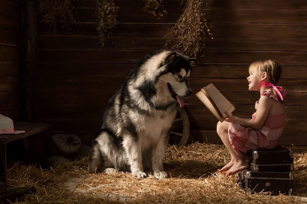 小女孩读一本爱斯基摩狗品种的书