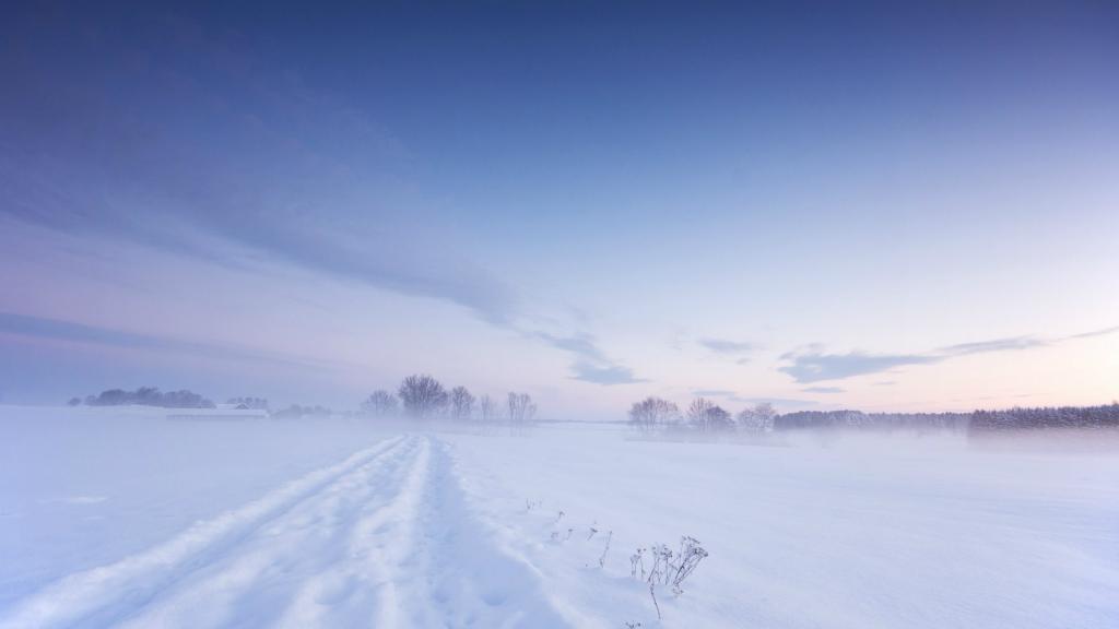 瑞典的白色冬天