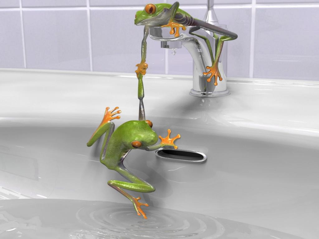 绿色的青蛙在水槽里 高清图片 壁纸 酷酷桌面