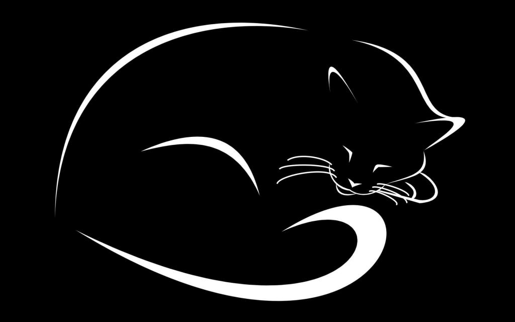 黑猫的白色轮廓