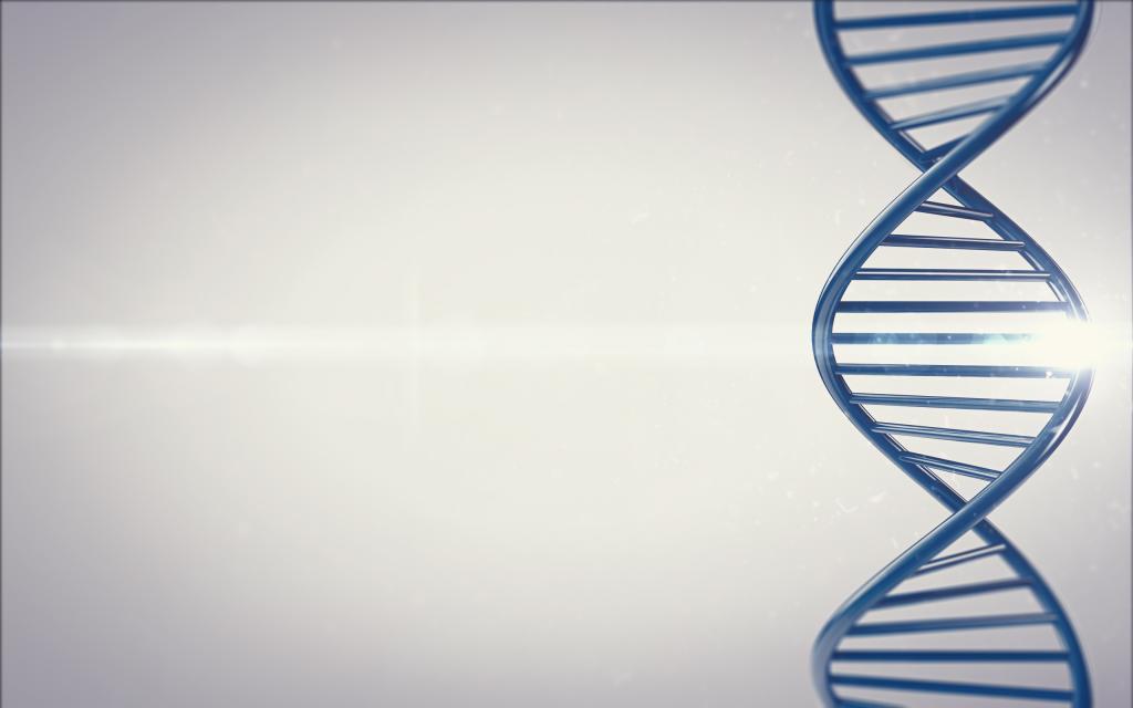 DNA生命的阶梯