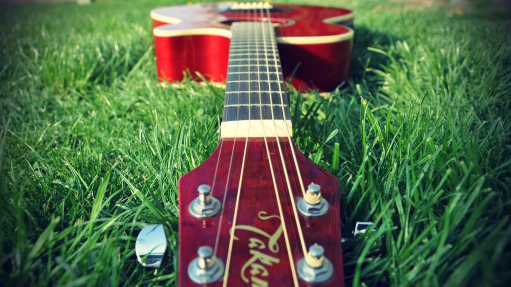 吉他在草地上