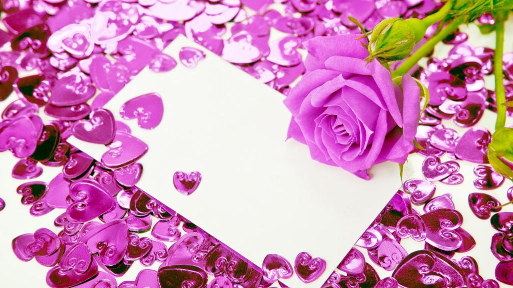 紫玫瑰和心