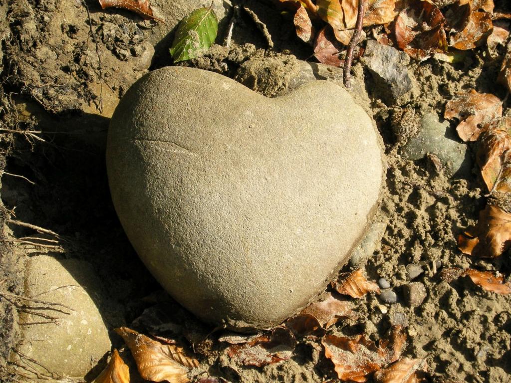 石头之心