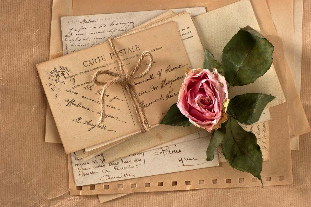 一张旧明信片上的干玫瑰