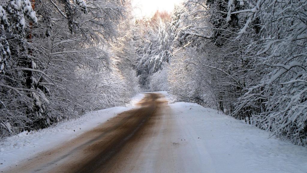 在积雪覆盖的冬季森林道路