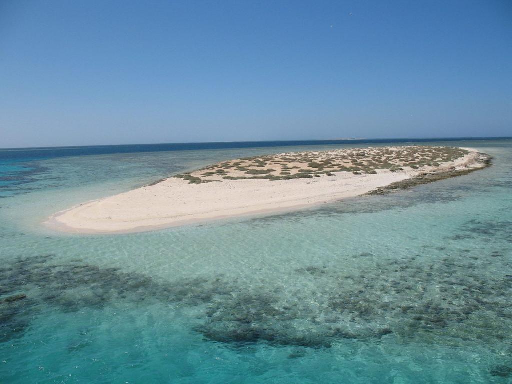 埃及马萨阿拉姆度假胜地的海岸沙滩岛