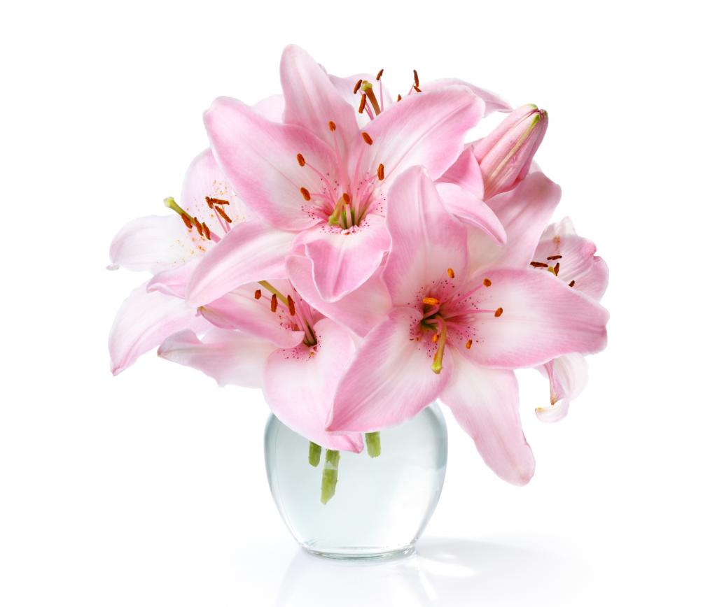 粉红色的百合花束在透明的花瓶特写