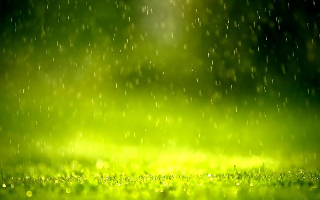 雨在绿色的阴霾中