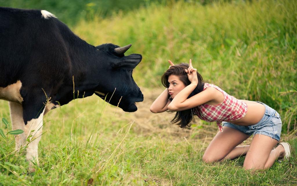 女孩与牛
