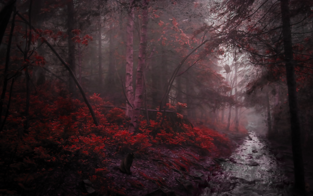 河在一个更经常阴沉的红色森林里