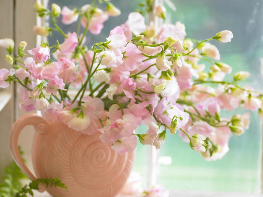 在一个粉红色的花瓶里的花