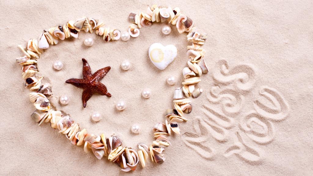 海扇壳上的沙子的心