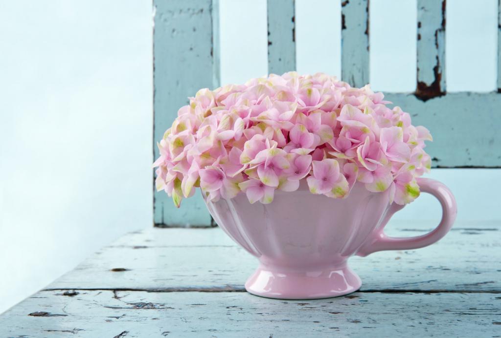 在一个白色的花瓶精致的粉红色花朵