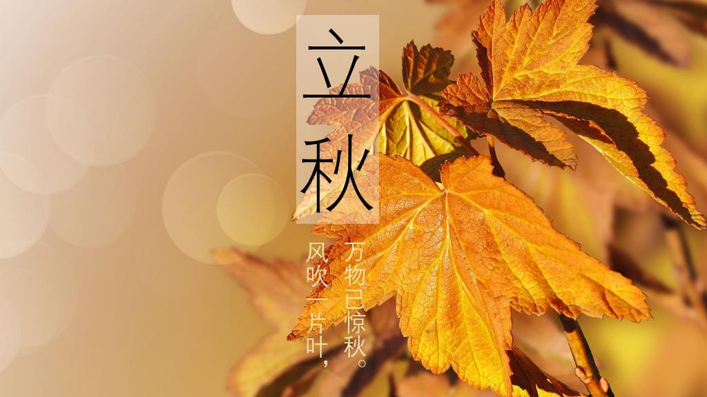 中国传统节气立秋