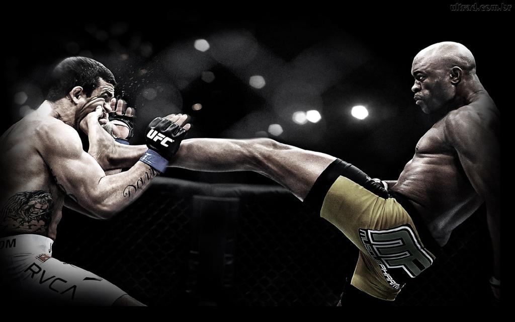 受欢迎的UFC战斗机安德森·席尔瓦。