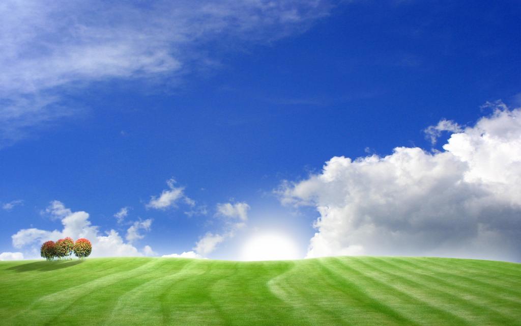 绿色的田野和蓝天