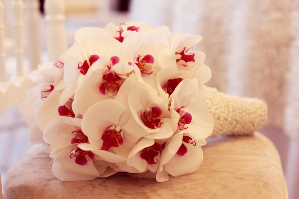 精致的白色兰花花束