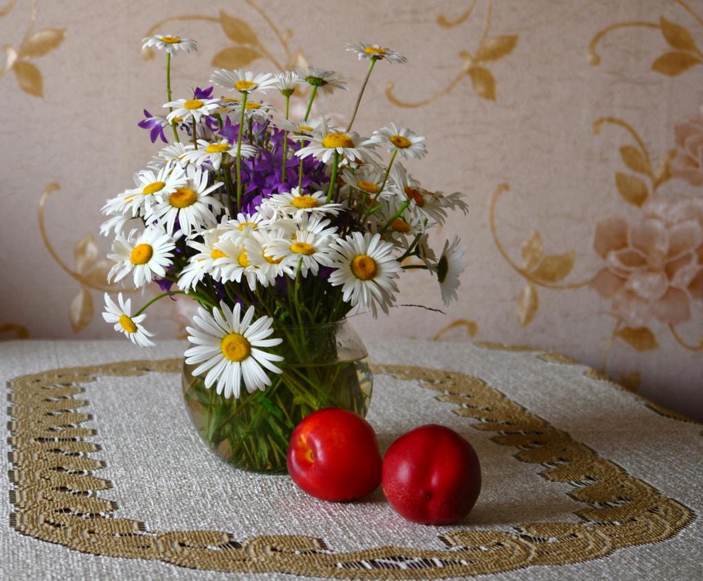 白色的田野chamomiles在粉红色的桃子桌上花瓶里的花束