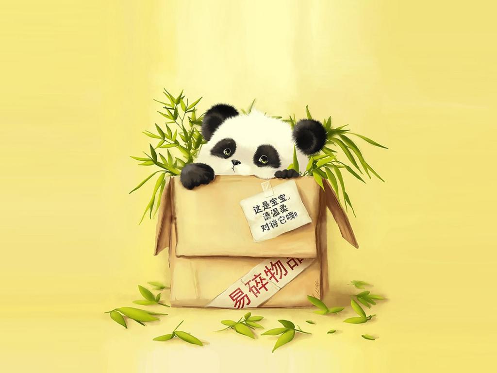 熊猫在盒子里