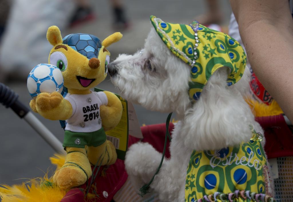 2014年巴西世界杯的吉祥物欢迎与狗