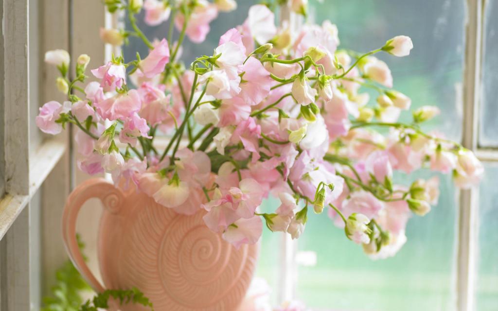 粉红色的花朵插在花瓶里