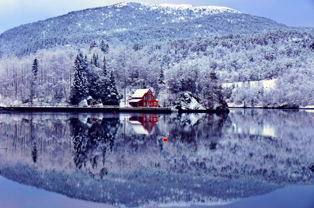 房子，森林和山在冬天反映在湖