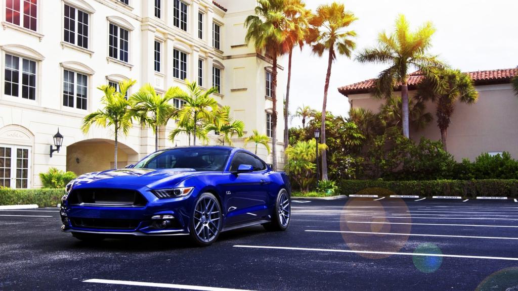 在有棕榈树的房子附近的蓝色Ford Mustang