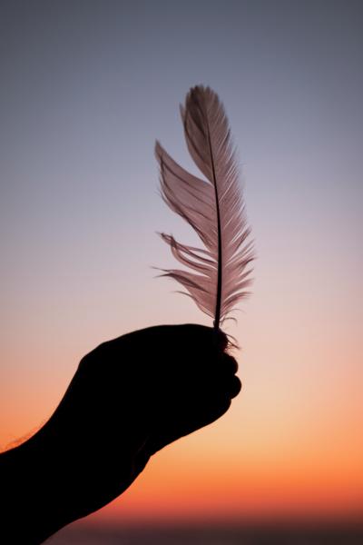夕阳下的一根羽毛
